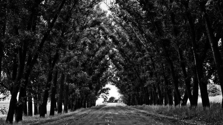 How To Create A New 11Xplay Id Login Password?